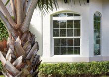 Palm Tree White Grille Windows