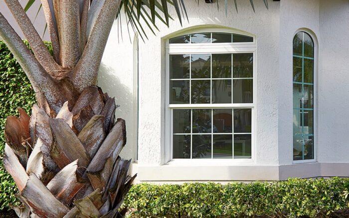 Palm Tree White Grille Windows